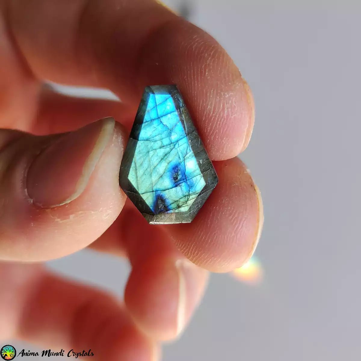 Small Labradorite Coffin Cabochons - Anima Mundi Crystals