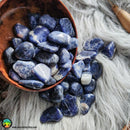 Sodalite Tumbled Crystals - Anima Mundi Crystals