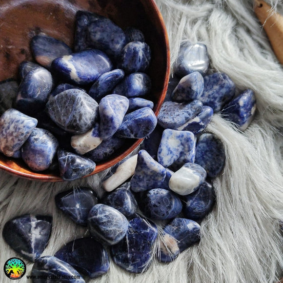 Sodalite Tumbled Crystals - Anima Mundi Crystals