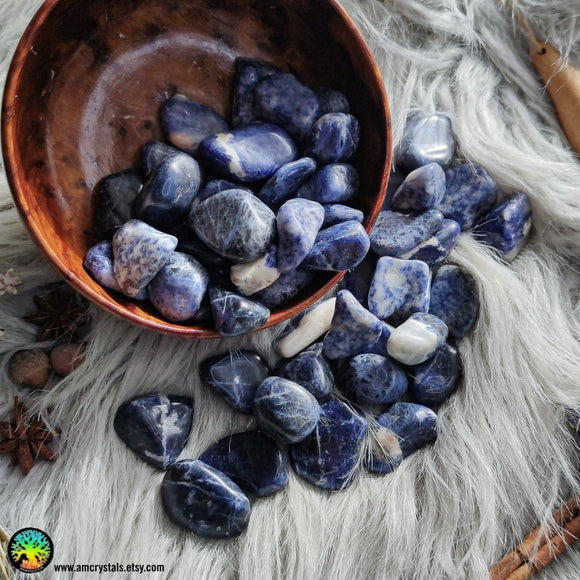 Sodalite Tumbled Crystals - Anima Mundi Crystals