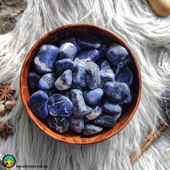 Sodalite Tumbled Crystals - Anima Mundi Crystals