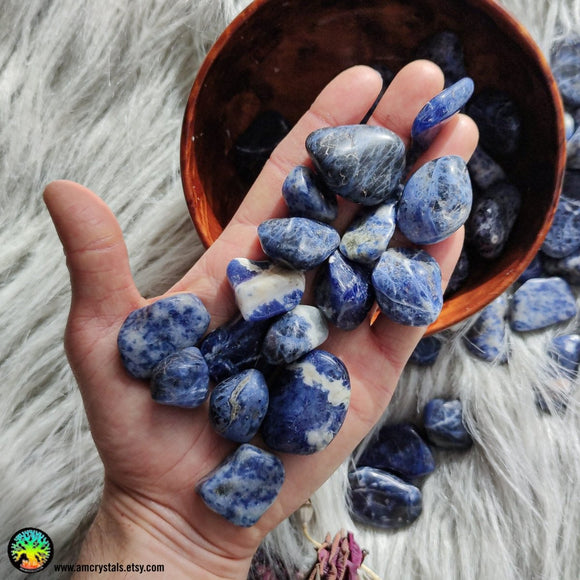 Sodalite Tumbled Crystals - Anima Mundi Crystals