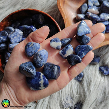 Sodalite Tumbled Crystals - Anima Mundi Crystals