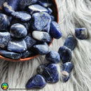 Sodalite Tumbled Crystals - Anima Mundi Crystals