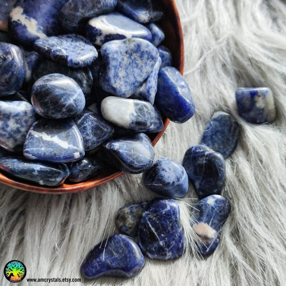 Sodalite Tumbled Crystals - Anima Mundi Crystals