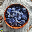 Sodalite Tumbled Crystals - Anima Mundi Crystals