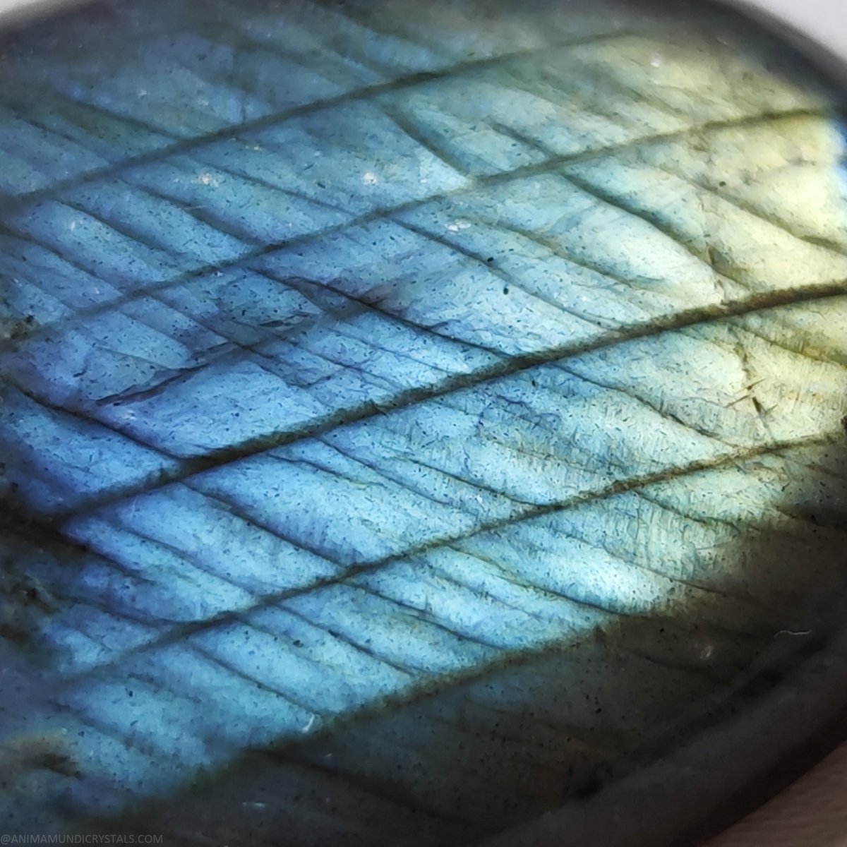 Gestreepte blauwe labradoriet - Anima Mundi-kristallen