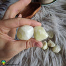 Sulfur Quartz Tumble Stone - Anima Mundi Crystals