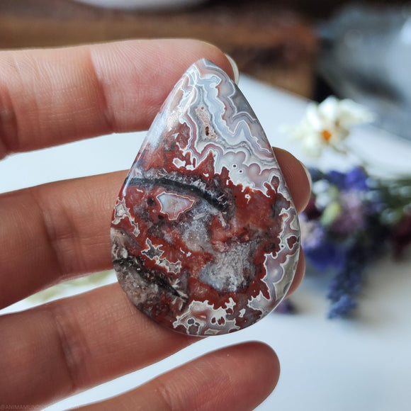 Tearshape Crazy Lace Agate - Anima Mundi Crystals