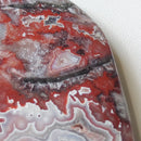 Tearshape Crazy Lace Agate - Anima Mundi Crystals