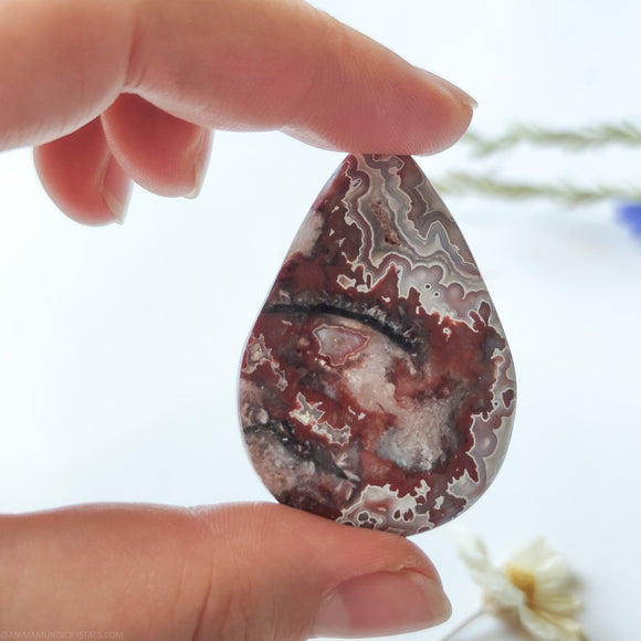 Tearshape Crazy Lace Agate - Anima Mundi Crystals