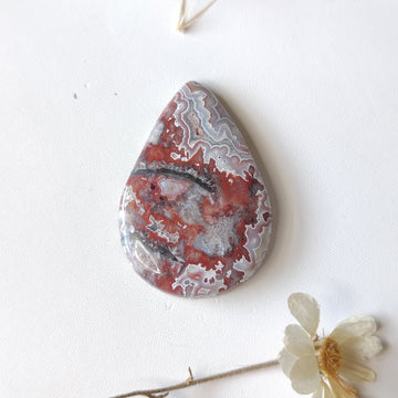 Tearshape Crazy Lace Agate - Anima Mundi Crystals