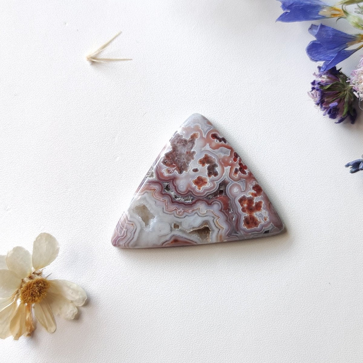 Triangle Crazy Lace Agate with Druzy - Anima Mundi Crystals