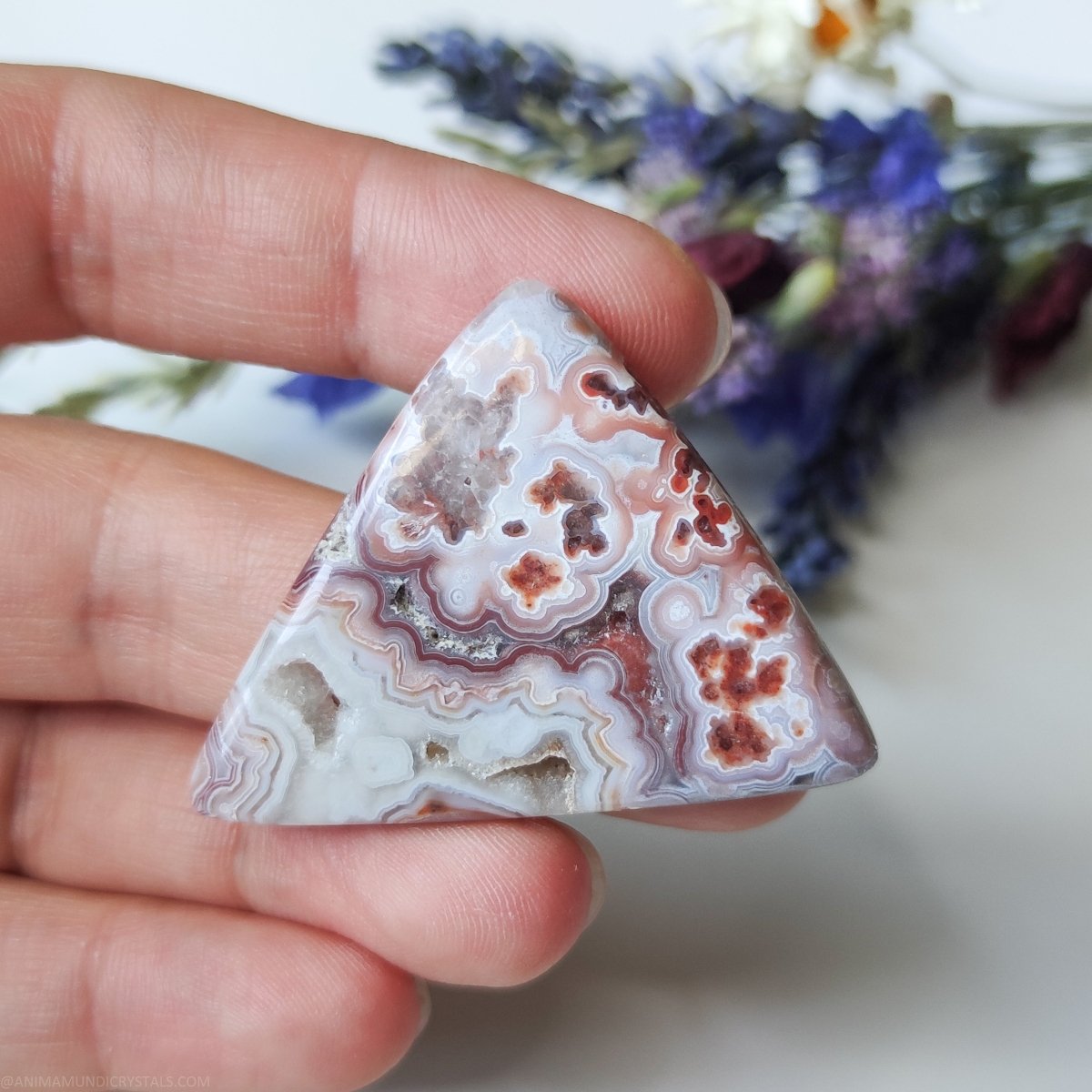 Triangle Crazy Lace Agate with Druzy - Anima Mundi Crystals