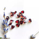 Trillion Cut Garnet Gemstones - Anima Mundi Crystals