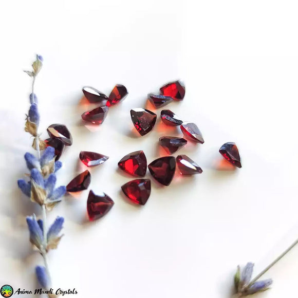 Trillion Cut Garnet Gemstones - Anima Mundi Crystals