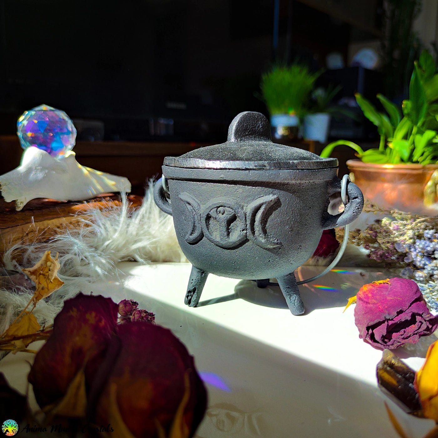 Triple Moon Goddess Cast Iron Cauldron | Witchcraft Altar Tool for Spells, Incense, and Rituals - Anima Mundi Crystals
