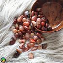 Tumbled Carnelian Crystals - Anima Mundi Crystals