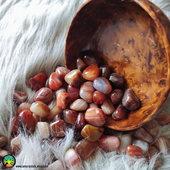Tumbled Carnelian Crystals - Anima Mundi Crystals