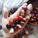 Tumbled Carnelian Crystals - Anima Mundi Crystals