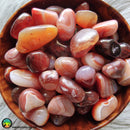 Tumbled Carnelian Crystals - Anima Mundi Crystals