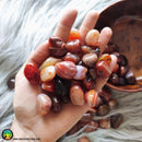 Tumbled Carnelian Crystals - Anima Mundi Crystals