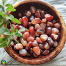Tumbled Carnelian Crystals - Anima Mundi Crystals