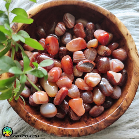 Tumbled Carnelian Crystals - Anima Mundi Crystals