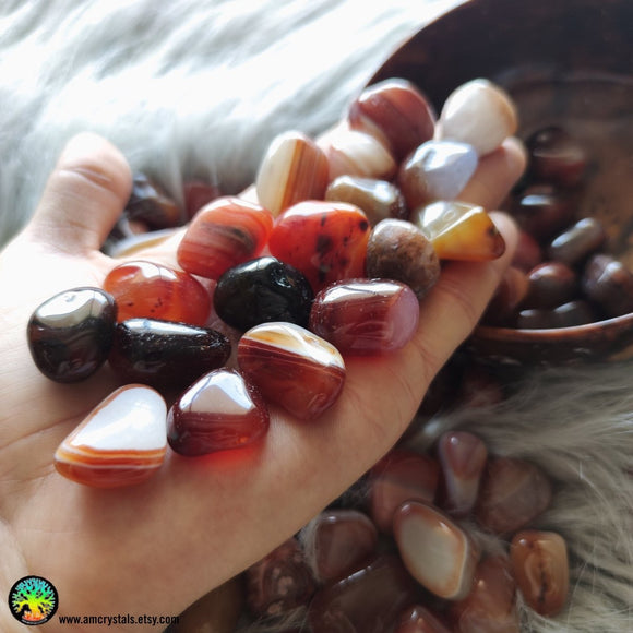 Tumbled Carnelian Crystals - Anima Mundi Crystals