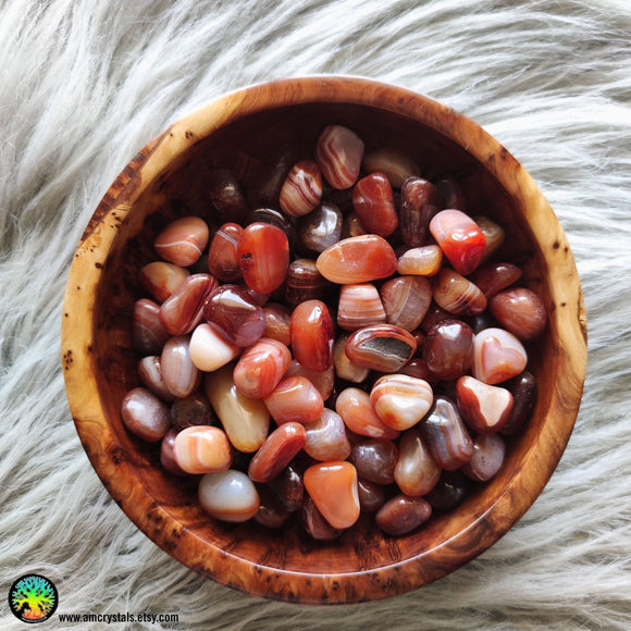 Tumbled Carnelian Crystals - Anima Mundi Crystals
