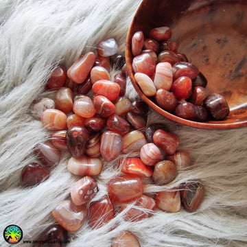 Tumbled Carnelian Crystals - Anima Mundi Crystals
