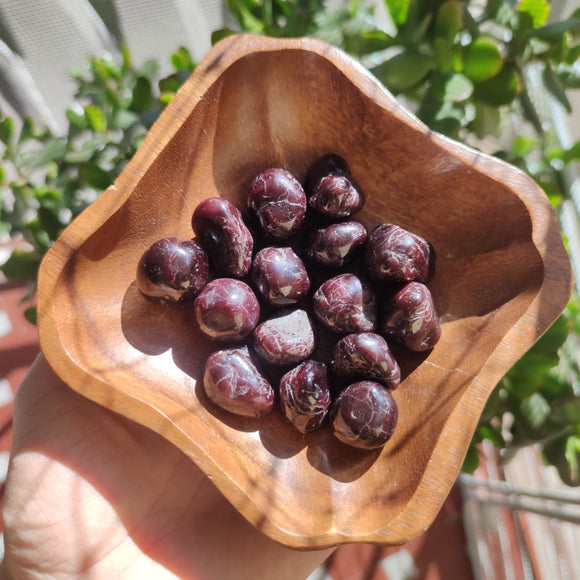 Tumbled Garnet Stone Crystals - Anima Mundi Crystals