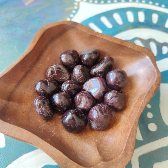 Tumbled Garnet Stone Crystals - Anima Mundi Crystals