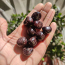 Tumbled Garnet Stone Crystals - Anima Mundi Crystals