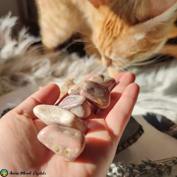 Tumbled Peruvian Pink Opal - Anima Mundi Crystals