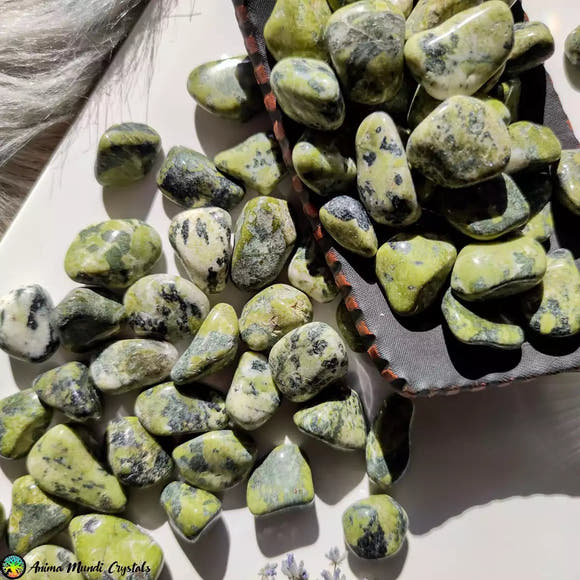 Tumbled Serpentine Stone - Anima Mundi Crystals