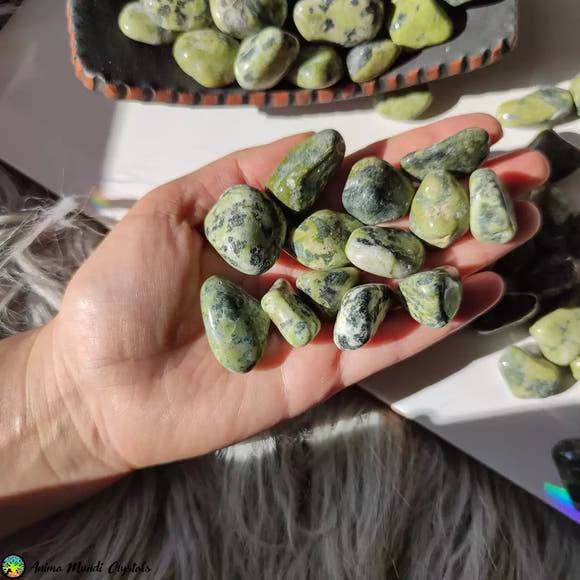 Tumbled Serpentine Stone - Anima Mundi Crystals