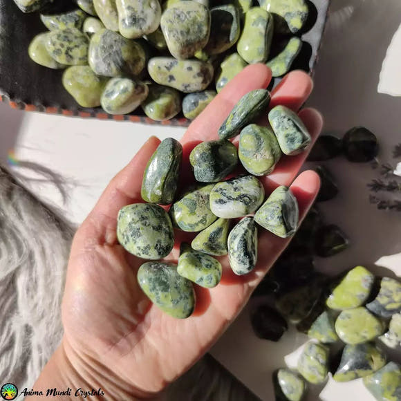 Tumbled Serpentine Stone - Anima Mundi Crystals