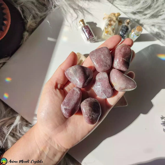 Tumbled Strawberry Quartz Crystals - Anima Mundi Crystals