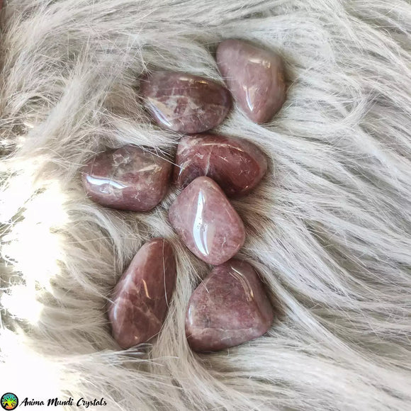 Tumbled Strawberry Quartz Crystals - Anima Mundi Crystals