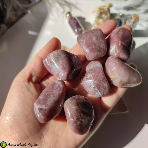 Tumbled Strawberry Quartz Crystals - Anima Mundi Crystals
