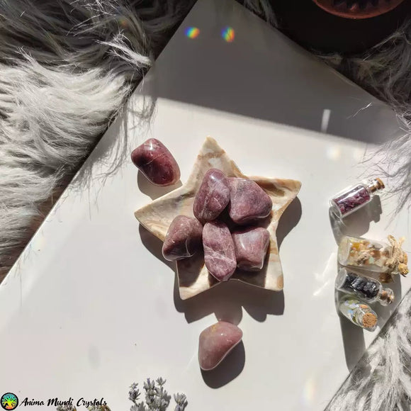 Tumbled Strawberry Quartz Crystals - Anima Mundi Crystals