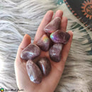 Tumbled Strawberry Quartz Crystals - Anima Mundi Crystals