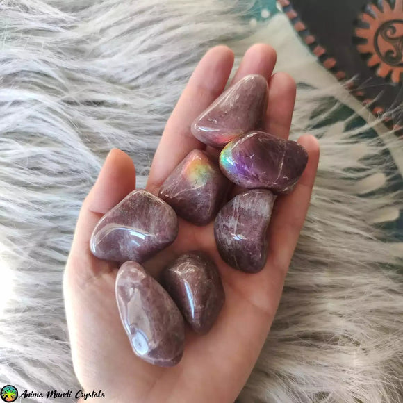 Tumbled Strawberry Quartz Crystals - Anima Mundi Crystals