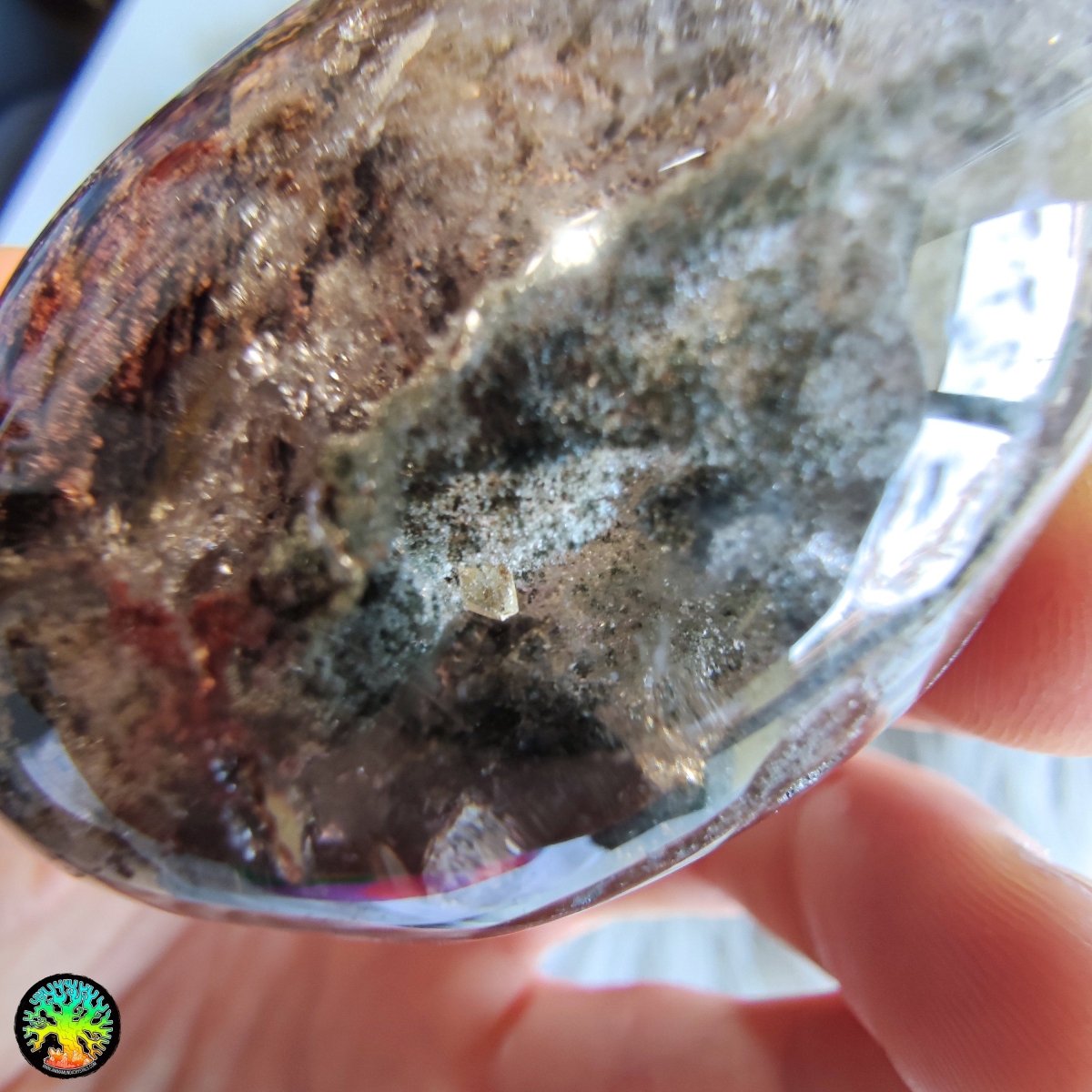 Unique and Big Lodolite Crystal Lens - Anima Mundi Crystals