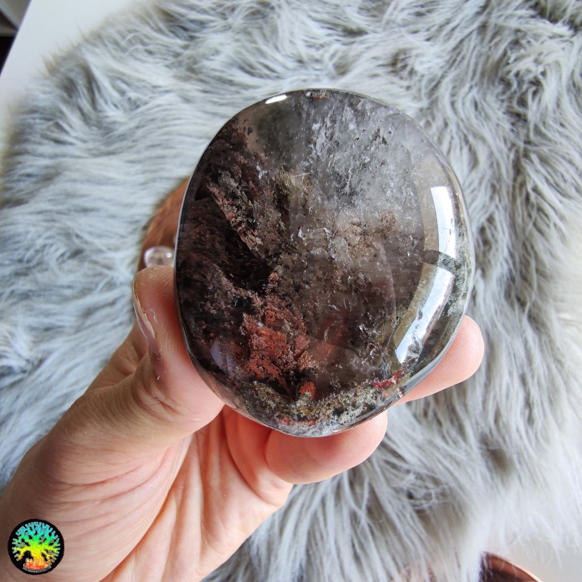 Einzigartige und große Lodolit-Kristalllinse – Anima Mundi-Kristalle