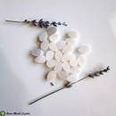 White Druzy Agate Cabochons - Anima Mundi Crystals