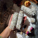 White Sage Bundle - Anima Mundi Crystals