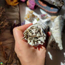 White Sage Bundle - Anima Mundi Crystals
