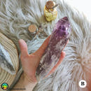 XL Amethyst Wands - Anima Mundi Crystals